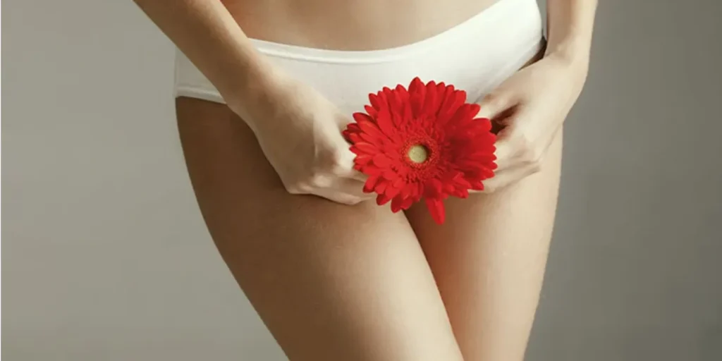 Atención Ginecológica la Mujer en Edad Reproductiva