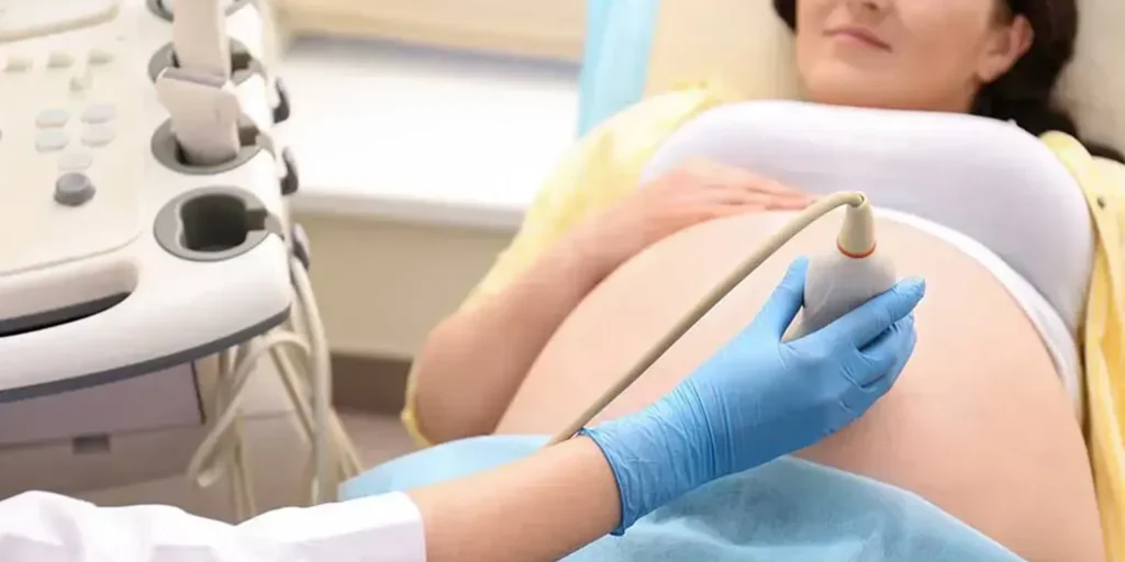 Atención Embarazada Riesgo